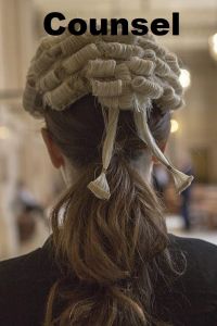   Адвокат (2019)